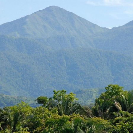 Villa Kiskadee - Beautiful Mountain Views With Private Pool Quepos Bagian luar foto
