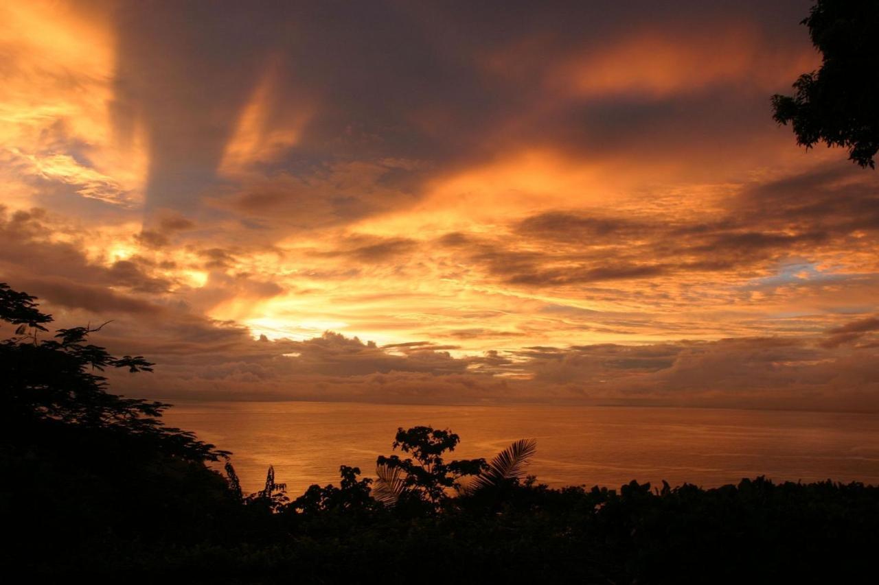 Villa Kiskadee - Beautiful Mountain Views With Private Pool Quepos Bagian luar foto