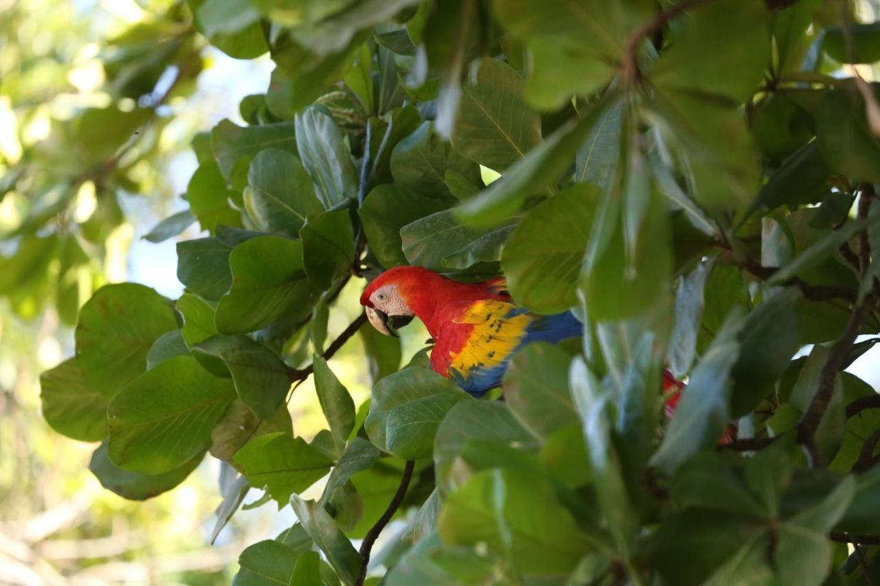 Villa Kiskadee - Beautiful Mountain Views With Private Pool Quepos Bagian luar foto